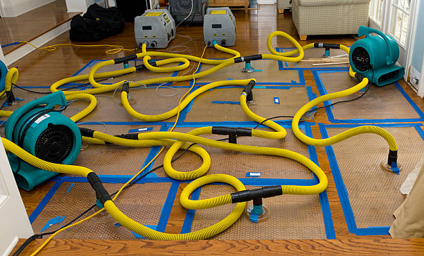 Professional Burst Pipe Water Damage technician working in Carter Lake, IA